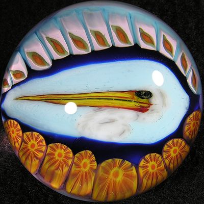 #207: Pelican Head Size: 1.73 Price: $350