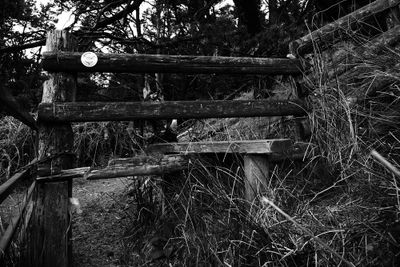 Old-stile