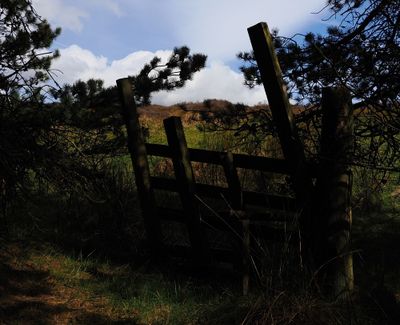 Shadow-stile