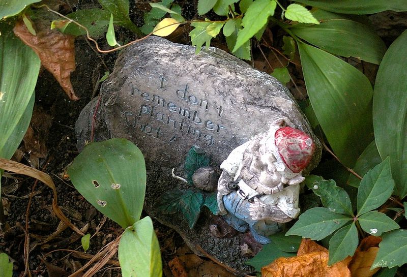 P9529.JPG