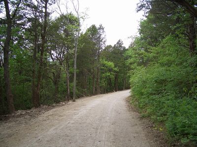 2453.JPG