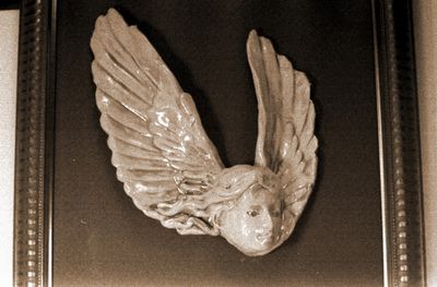 w.JPG