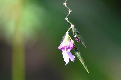 DSC_0828_01.JPG
