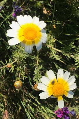 g13/17/603317/3/174645723.e72218c2.JPEG