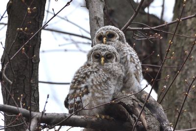 DSC_4879_02.JPG