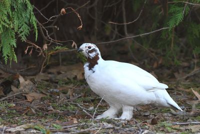 DSC_4910_02.JPG