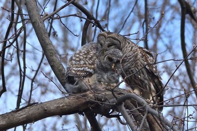DSC_5147_02.JPG
