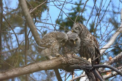 DSC_5156_02.JPG