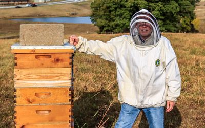 Fearless single day beekeeping assistant challenges the hive near Paducah Kentucky