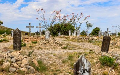 Blooming ocotillo stand tall over gravesites at Boothill Grave Yard