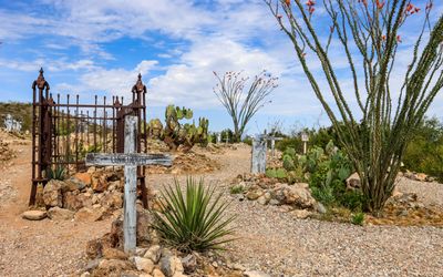 Variety of gravesite markers among the cactus at Boothill Grave Yard