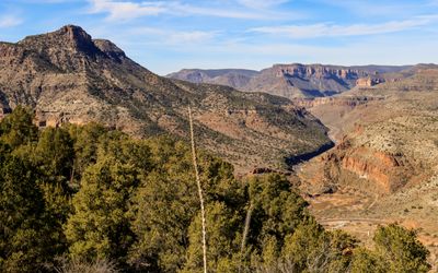 Salt River Canyon  Arizona