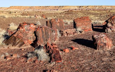 Large pieces of petrified wood along the Long Logs Trail in Petrified Forest NP