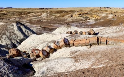 Sections of a petrified log sit along the Crystal Forest Trail in Petrified Forest NP