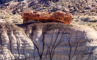 Closeup of a petrified log sitting on a hill along the Blue Mesa Trail in Petrified Forest NP