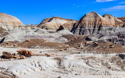 Petrified wood and badlands along the Blue Mesa Trail in Petrified Forest NP