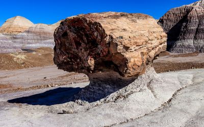 Petrified log sits on an eroded pedestal along the Blue Mesa Trail in Petrified Forest NP