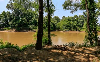 Approaching the banks of the Tallahatchie River where Emmitt Tills body was found in Emmett Till and Mamie Till-Mobley NM