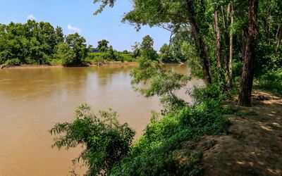 The bank of the Tallahatchie River where Emmitt Tills body was found in Emmett Till and Mamie Till-Mobley NM