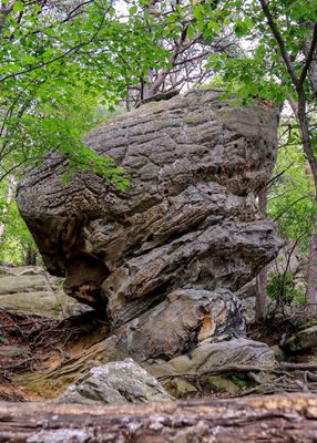 Large rock formation near the Pinnacle Overlook in Cumberland Gap NHP