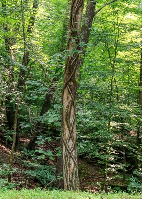 Cumberland Gap National Historical Park – Kentucky
