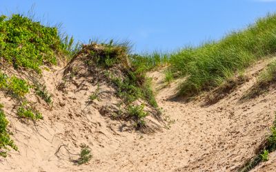 Closeup of dunes at the Lake Michigan Overlook along the Pierce-Stocking Scenic Drive in Sleeping Bear Dunes NL