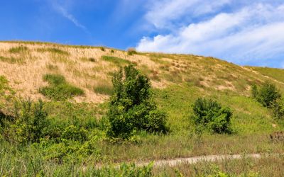 View of dunes along the Heritage Trail near the Dune Climb in Sleeping Bear Dunes NL