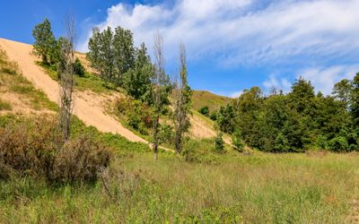 Dunes along the Heritage Trail near the Dune Climb in Sleeping Bear Dunes NL