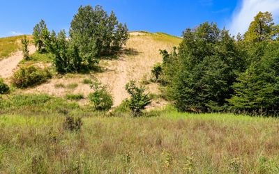 Trees and dunes along the Heritage Trail near the Dune Climb in Sleeping Bear Dunes NL