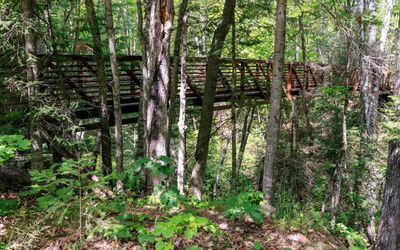 Walking bridge to the Ravine Trail in Frog Bay Tribal NP