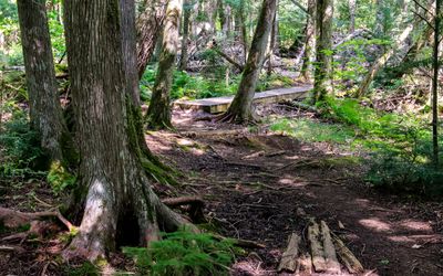 Hiking along the Beach Trail in Frog Bay Tribal NP