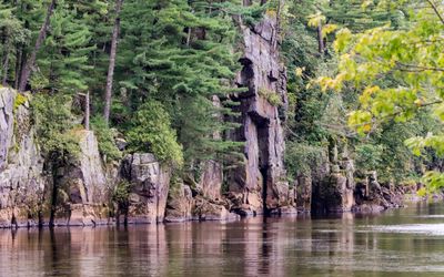 Towering basalt cliffs along the St. Croix River in St. Croix NSR