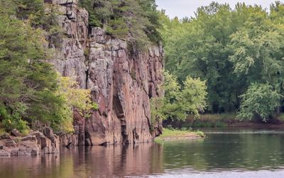 A tree grows from the side of a sheer rock face along the St. Croix River in St. Croix NSR