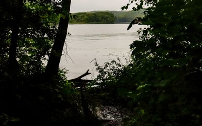 View of the St. Croix River along the Ice Age National Scenic Trail in St. Croix NSR