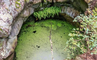 g13/17/606817/3/174867395.160acd47.JPEG