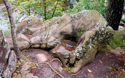 Rock formation along the Glacial Potholes Trail in Interstate State Park