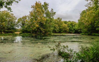 Williams Pond in George Washington Carver NM
