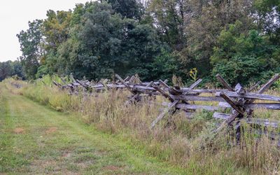 Split-rail fence at the Gibson Oatfield in Wilsons Creek NB
