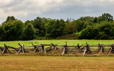 Split-rail fence near the Ray Orchard in Wilsons Creek NB