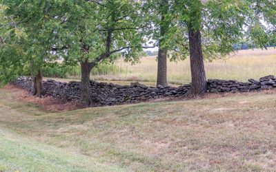 Rock wall on the battlefield in Wilsons Creek NB