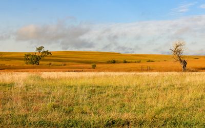 Low clouds hang over the landscape in Tallgrass Prairie National Preserve