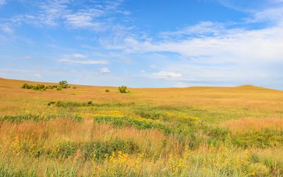 Expansive prairie lands in Tallgrass Prairie National Preserve