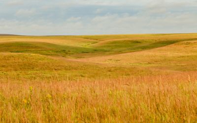 Expansive grasslands in Tallgrass Prairie National Preserve