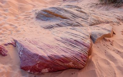 Sandstone rock etched by wind and sand along the White Domes Loop Trail in Valley of Fire SP