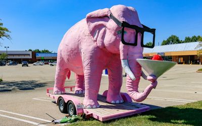 Pink elephant with glasses drinking a martini in Springfield, Illinois
