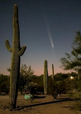 Comet Tsuchinshan-Atlas visible from my RV at home in Tucson, Arizona