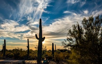 Late afternoon sun through the clouds paints the sky over southern Arizona