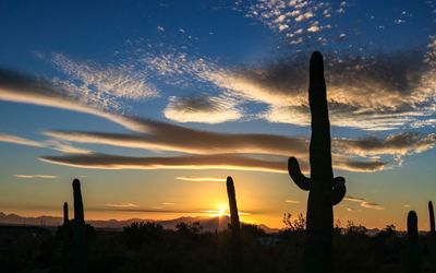 Five Acres in the Sonoran Desert - Skies – Arizona