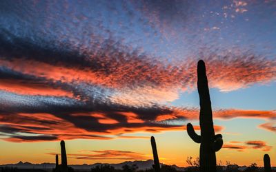 Sunset, January 18, 2021 7:04 p.m.