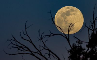 Moon in the east, June 6, 2020 8:16 p.m.